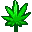 Weed